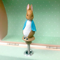 Peter Rabbit Musical Money Box